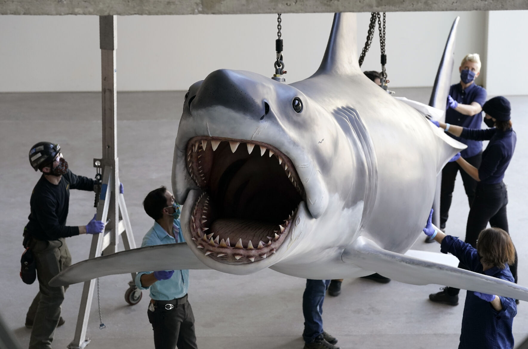Installation at Academy of Museum of Motion Pictures